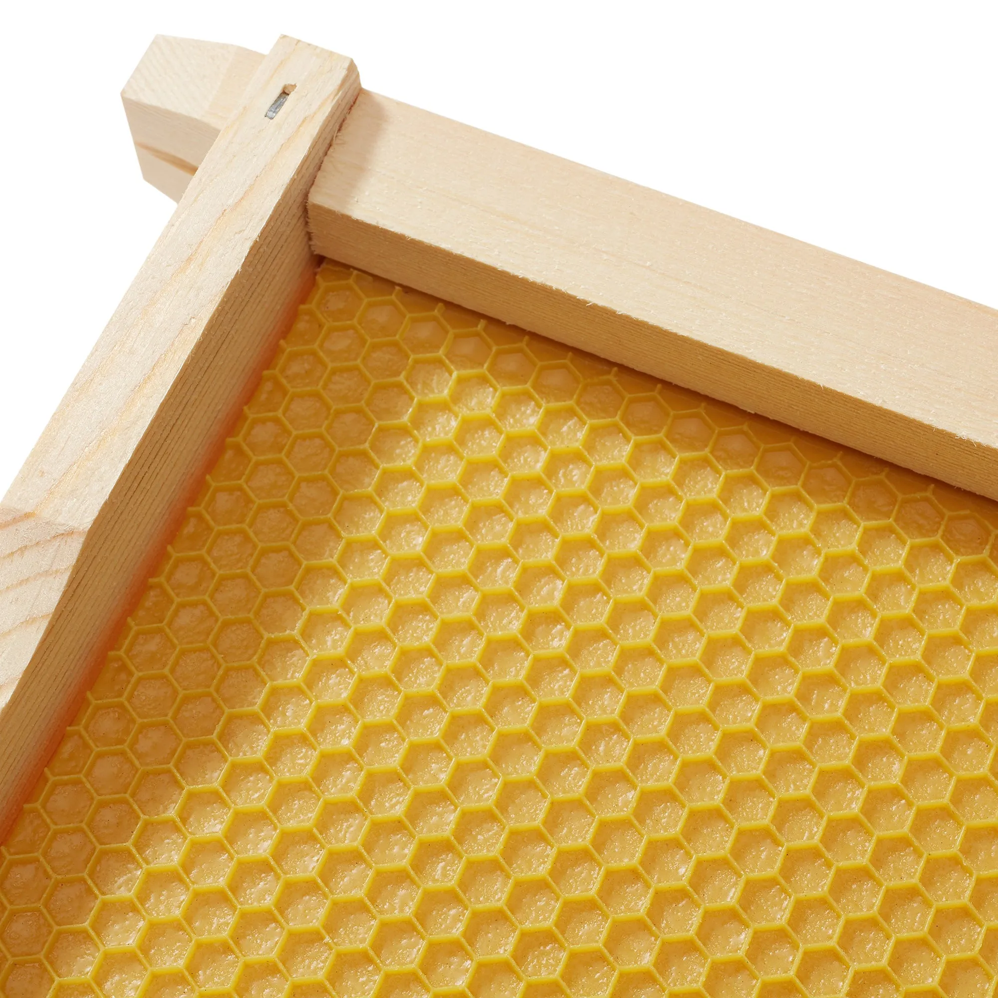 10 Assembled Beehive Frames, Coated Foundations for Beekeeping, 6-1/4"