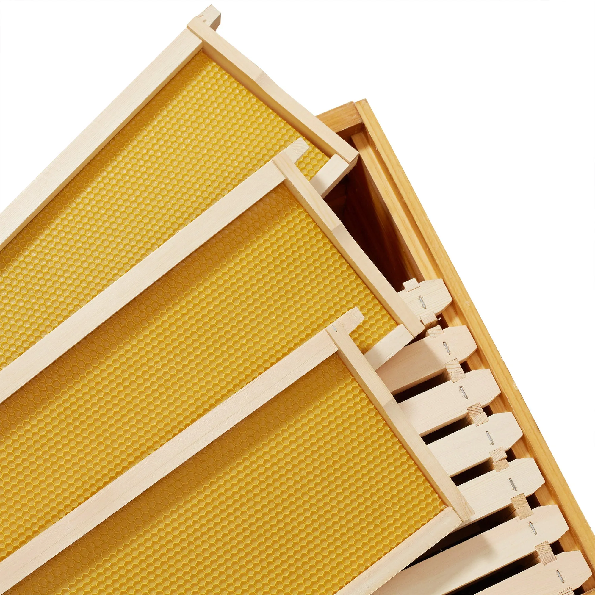 10 Assembled Beehive Frames, Coated Foundations for Beekeeping, 6-1/4"