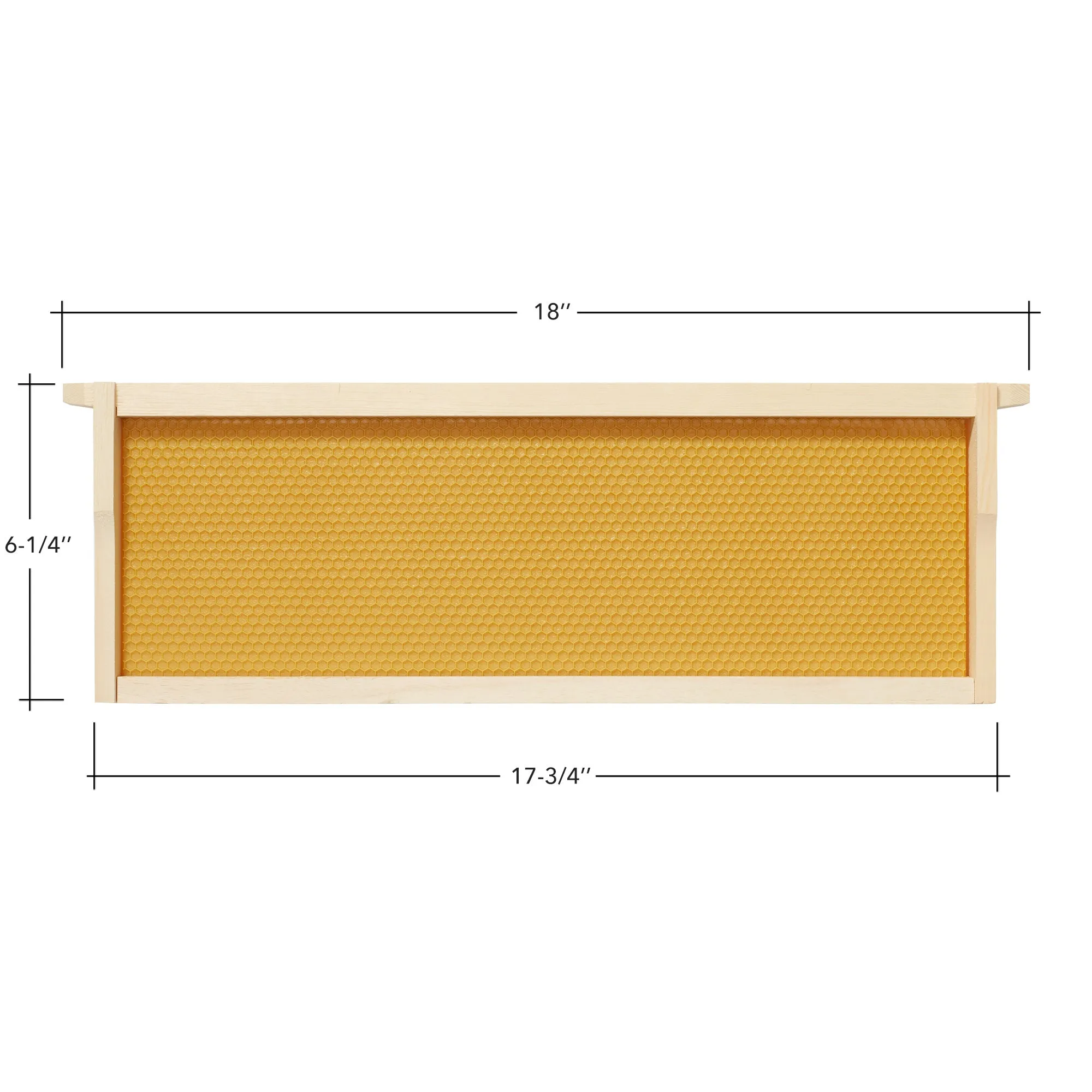 10 Assembled Beehive Frames, Coated Foundations for Beekeeping, 6-1/4"