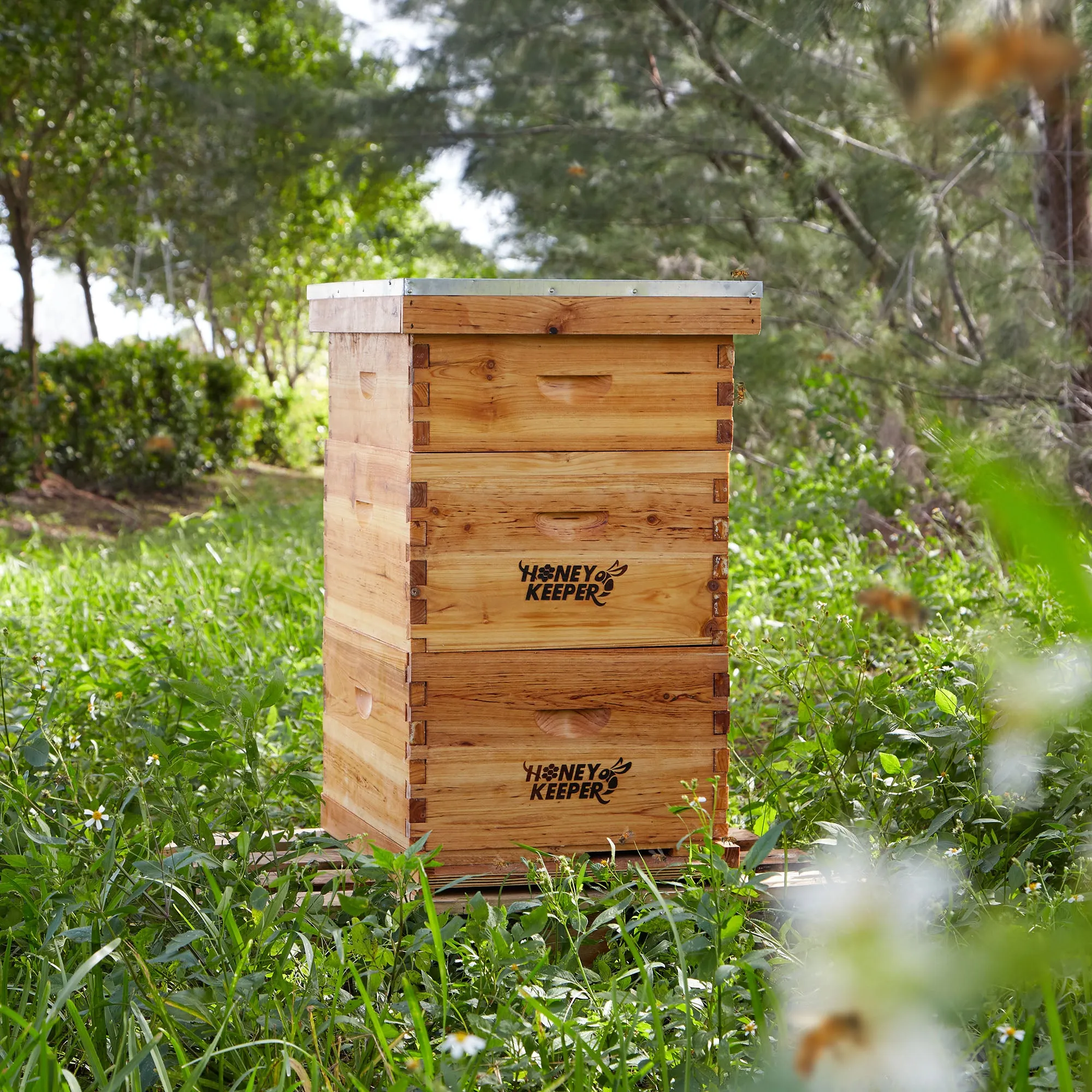 3-Tier Complete 10 Frame Langstroth Waxed Beehive Kit
