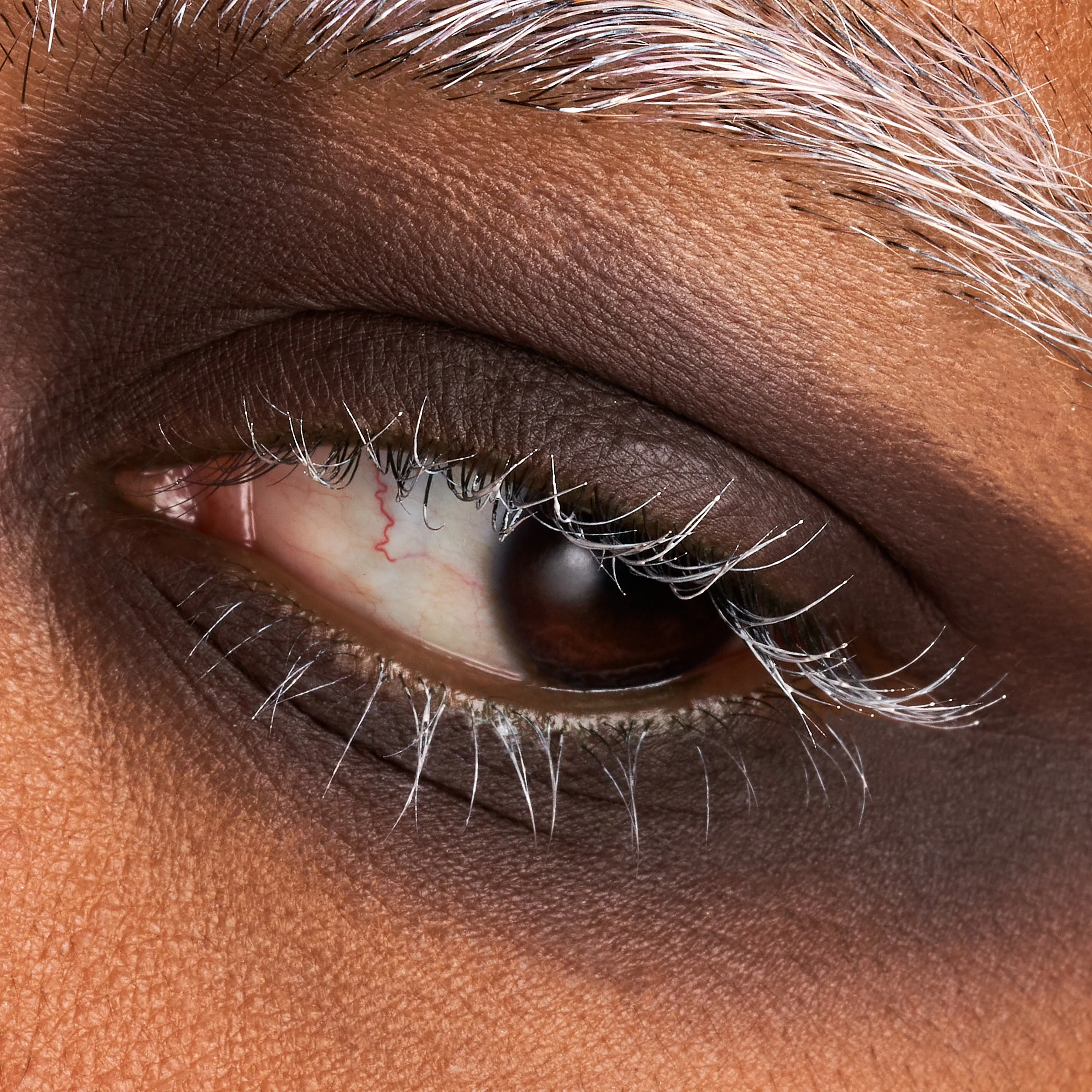 Blackthorn - Eyeshadow