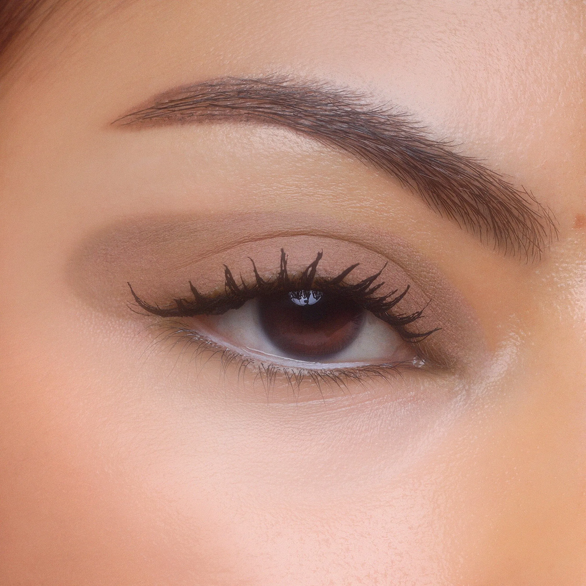Electric Slide Eyeshadow and Brush Stick