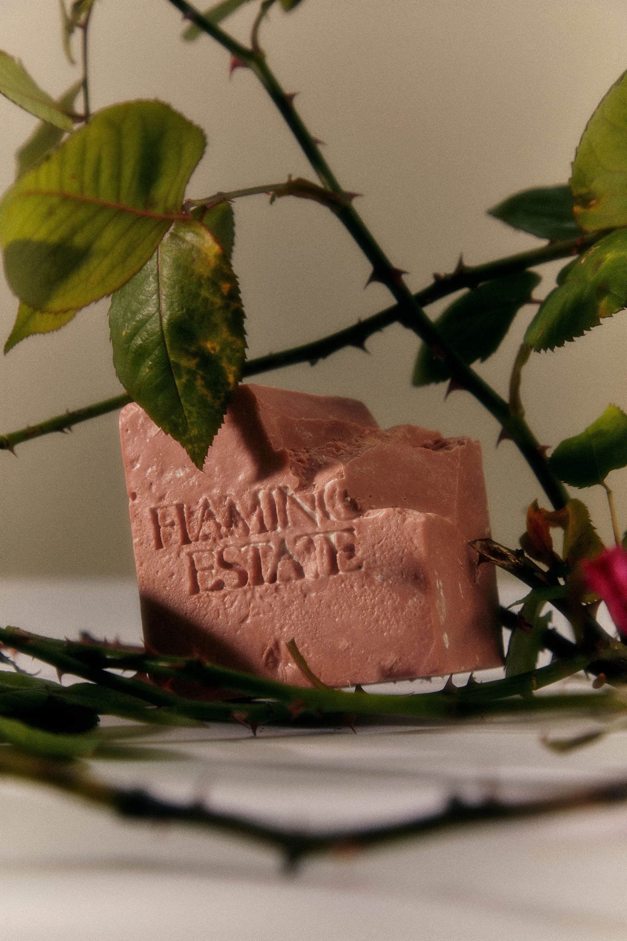 Night Blooming Jasmine & Damask Bar Soap